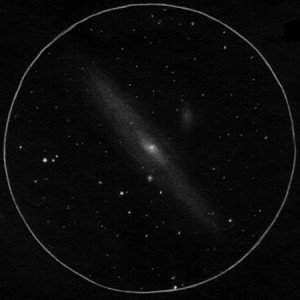 M31